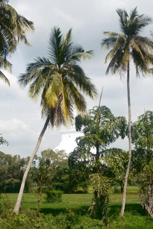 Sri Lanka