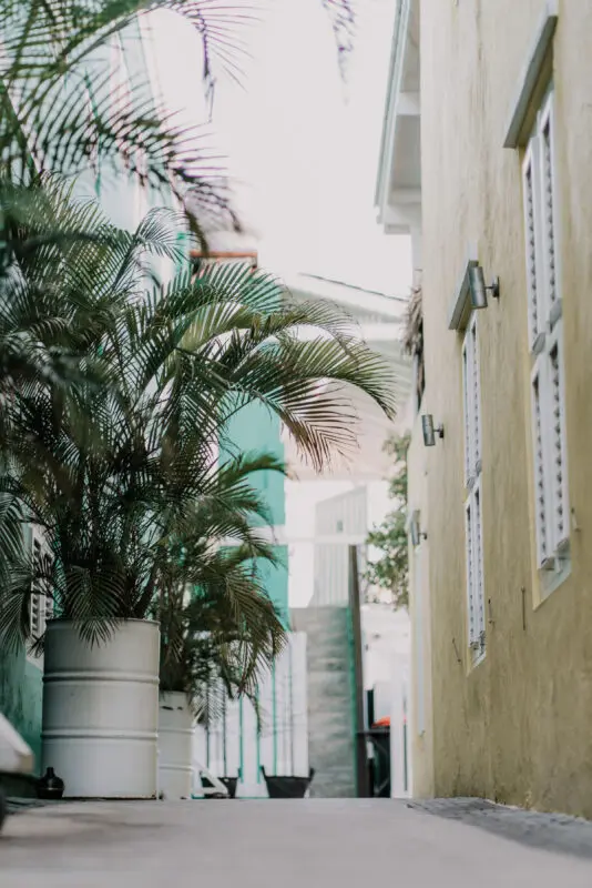 bijblauw curacao