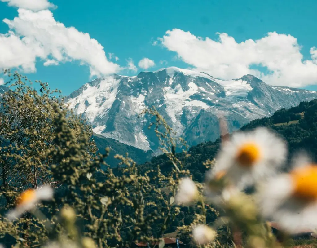 mont blanc