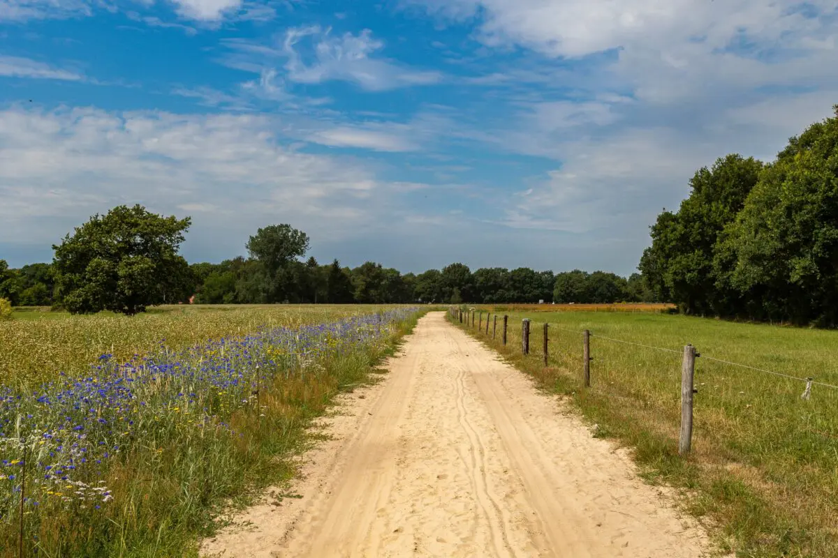 Omgeving