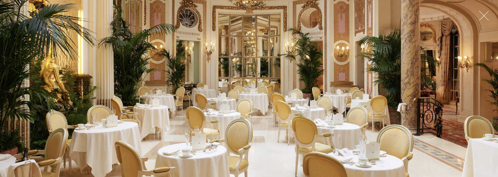 Palm Coutt The Ritz London