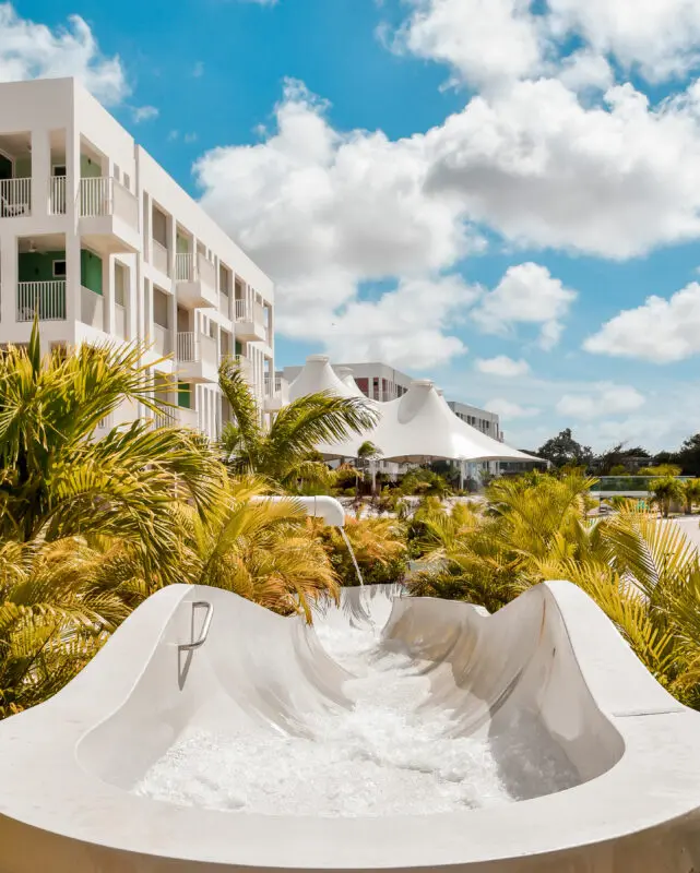 Chogogo Bonaire