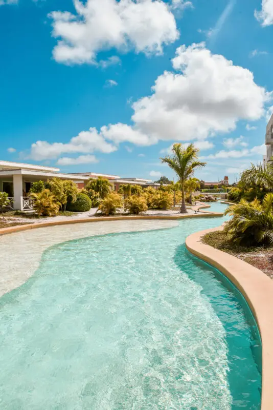 Chogogo Bonaire