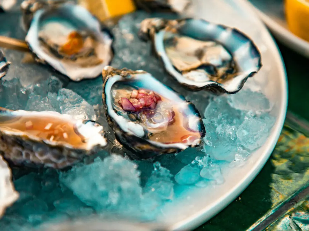 Oyster Wednesday