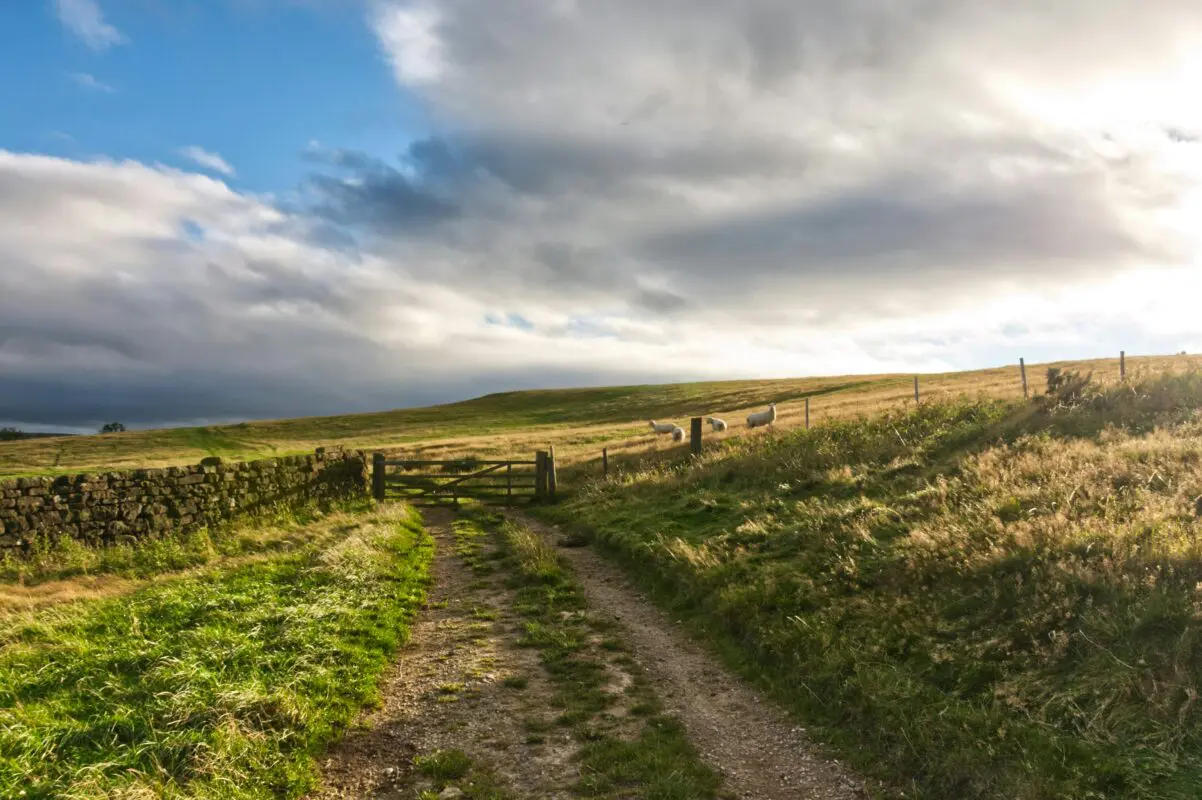 north york moors yorkshire