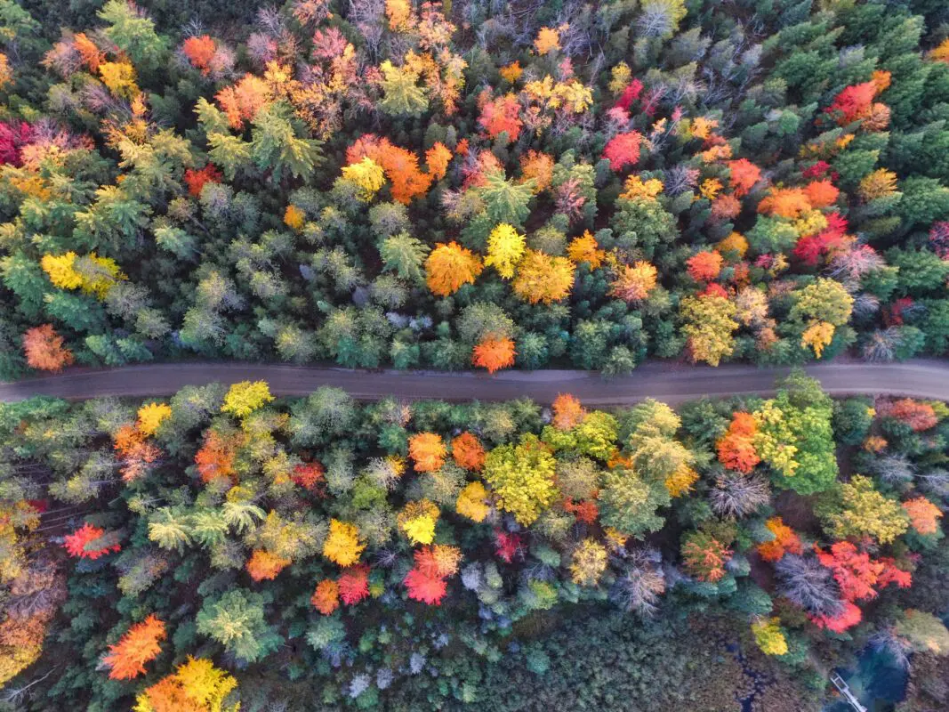 Herfst