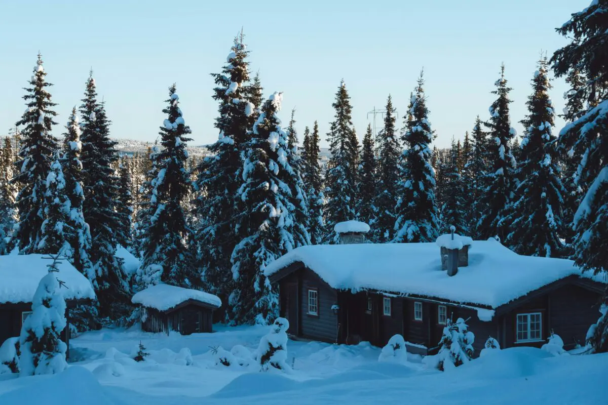 wintersport snowtrex
