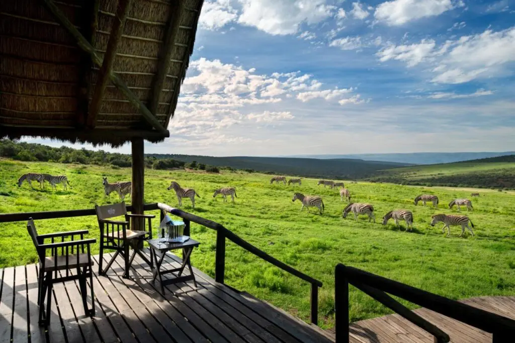 Gorah Elephant Camp