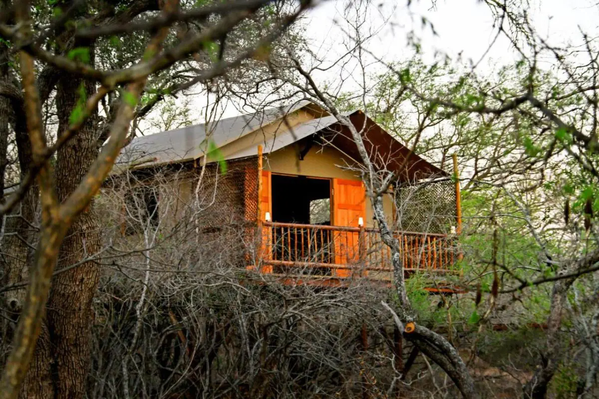 Vuyani Safari Lodge