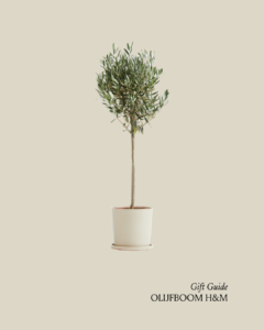 gift guide huis