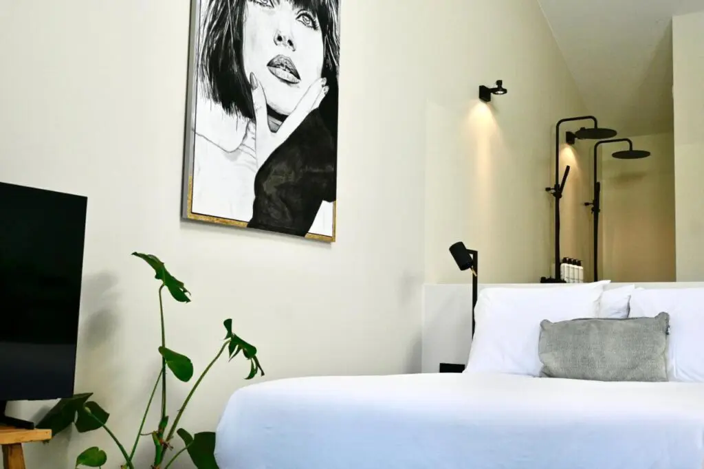 Van Heeckeren City Centre Jacuzzi Lofts