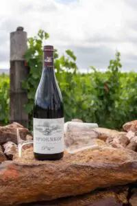 Spioenkop Wines