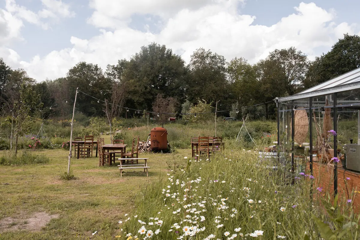 plant alchemy retreat
