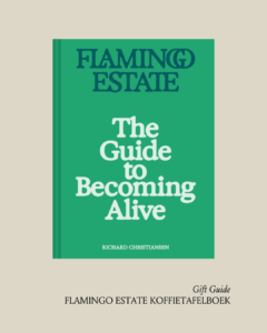 gift guide boek
