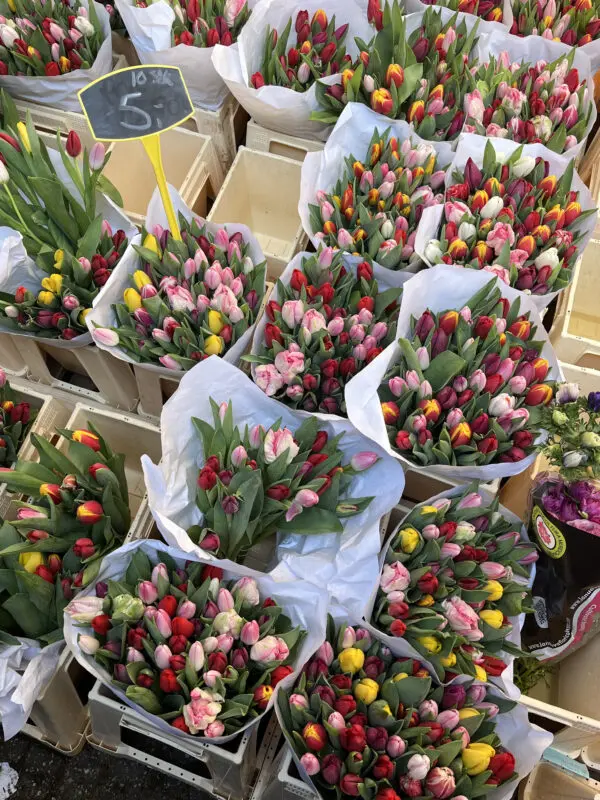 winkels in Den Bosch