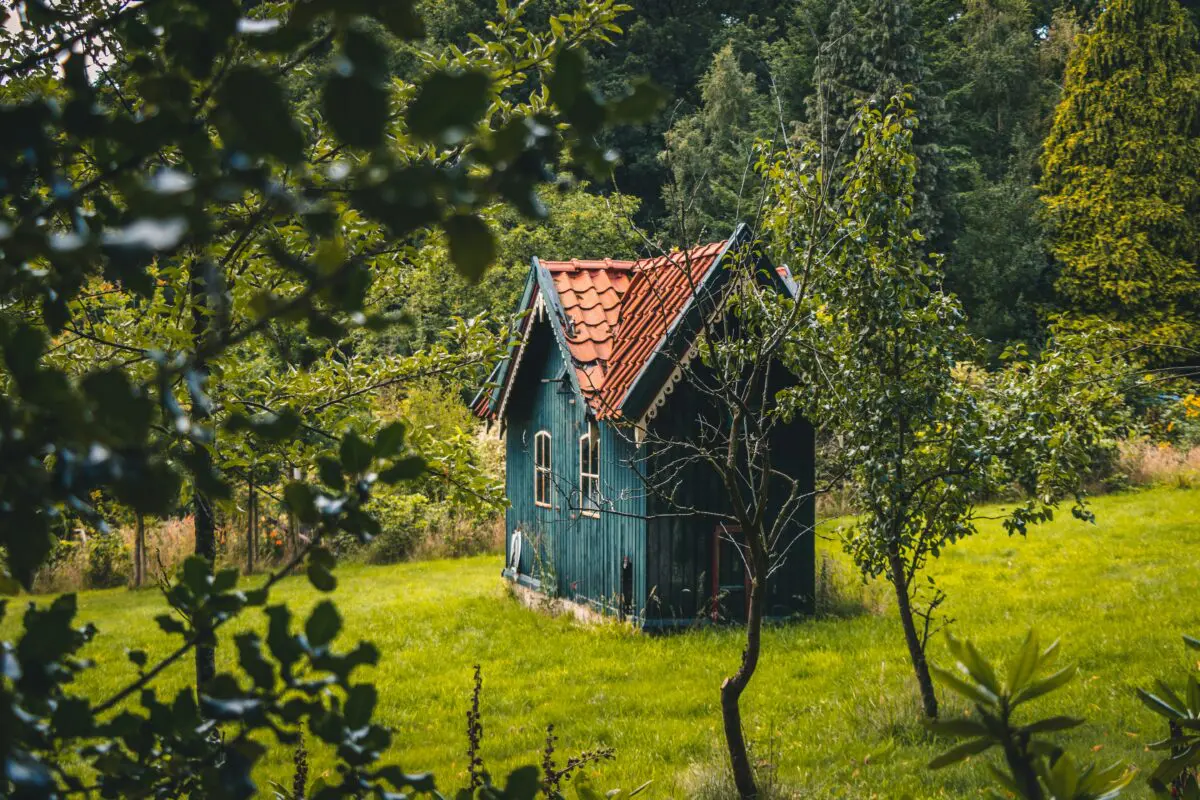 Unsplash