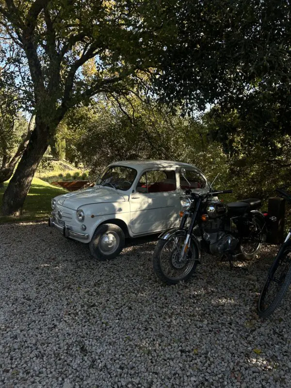 Auto's