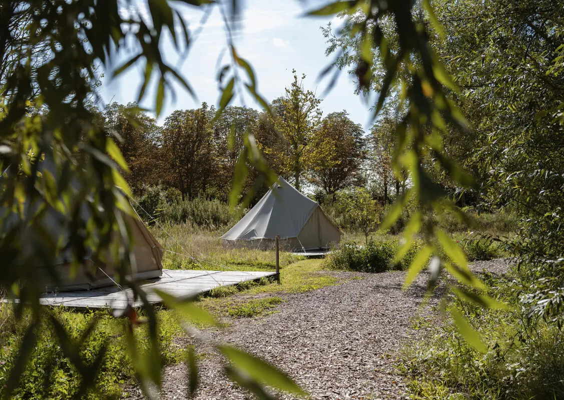 digital detox retreat