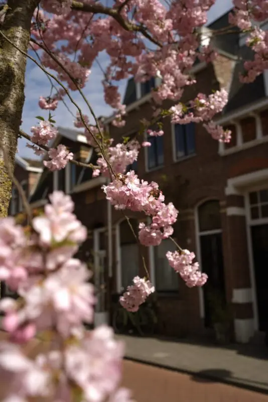 Overnachten in Tilburg