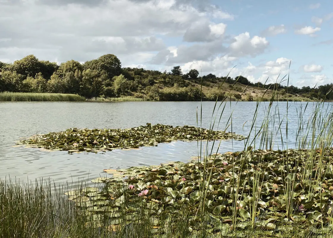 zuid-kennemerland wandelen