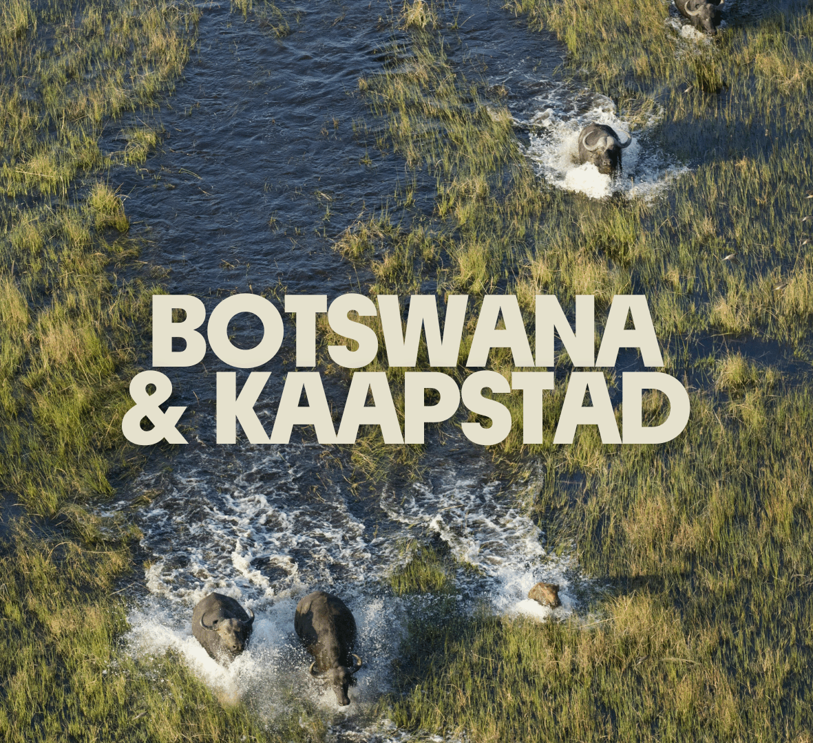 Botswana & Kaapstad