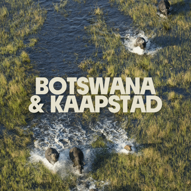 Botswana & Kaapstad