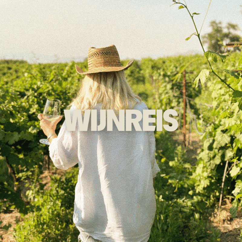 Wijnreis