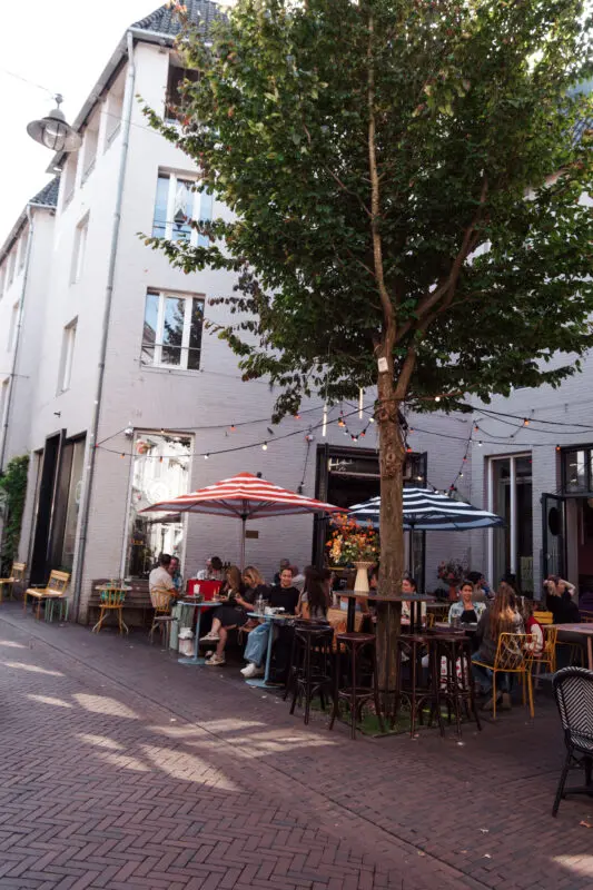 Borrelen in Den Bosch