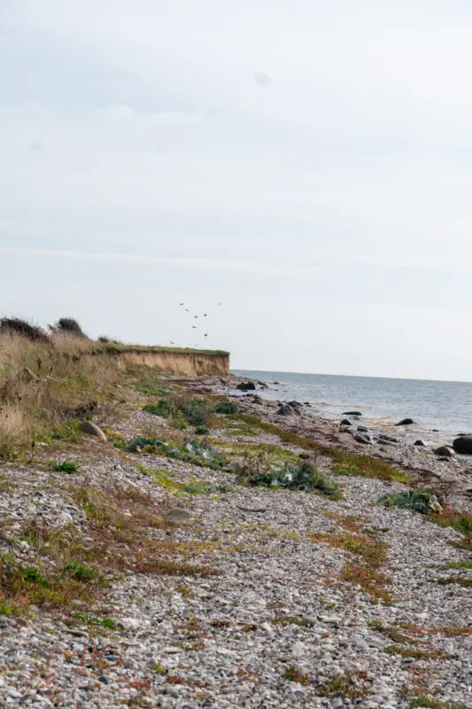 Roadtrip Jutland