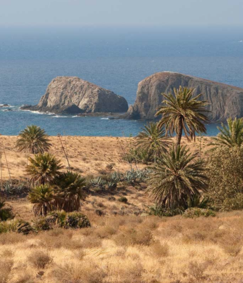 ALBARICOQUES RURAL in Cabo de Gata, Spanje