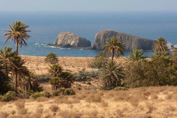 ALBARICOQUES RURAL in Cabo de Gata, Spanje
