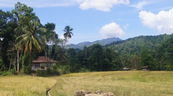 Kandy, Sri Lanka