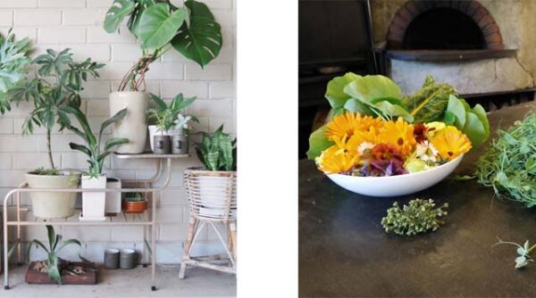 Grow an edible balcony @ Hoxton Amsterdam