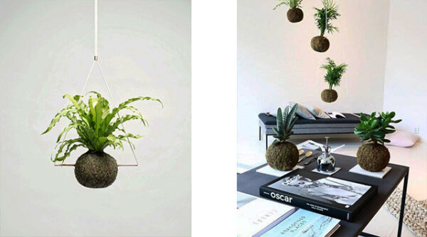 Kokedama workshop, Amsterdam