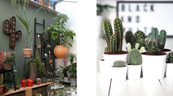 Groene Vingers, Delft