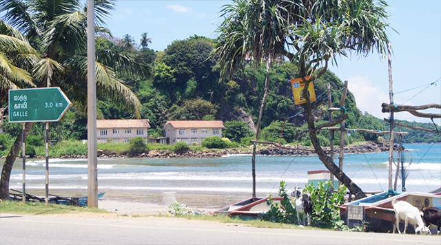 Galle