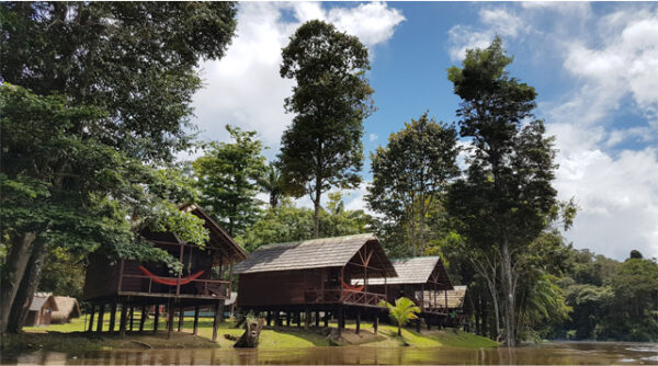HOW TO… SURINAME
