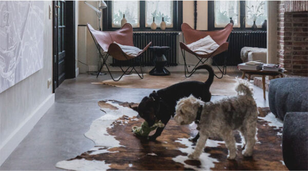 Little Escapes: Honden Welkom