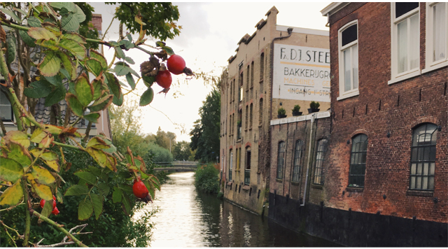 Barts Boekje - leeuwarden