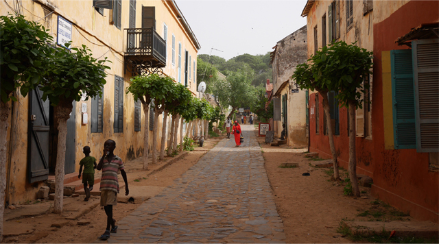 Barts Boekje - senegal 5