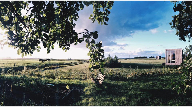 Barts Boekje - weidummerhout