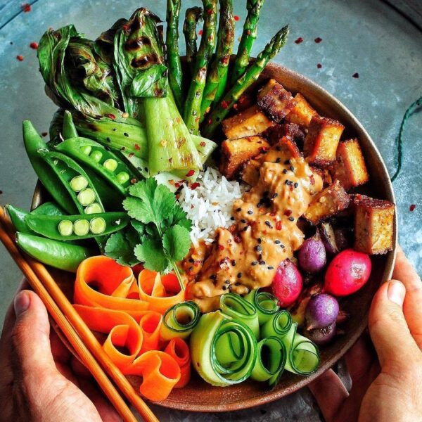 HELP A MEAT EATER OUT! (HOE DE VEGANS HET DOEN)
