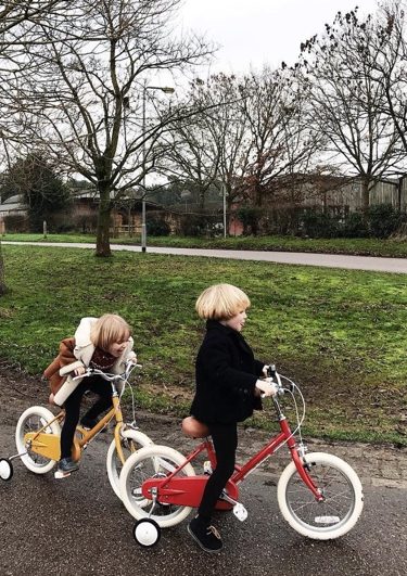 Scherm nationale vlag knecht Dé 12 kinderfietsen (tips) du moment - Barts Boekje