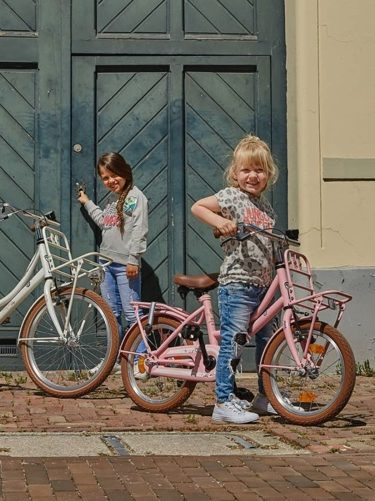 Handvest personeelszaken aardolie Dé 12 kinderfietsen (tips) du moment - Barts Boekje