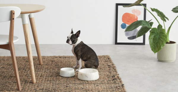 de huisdierencollectie van Made.com is dus écht heel leuk
