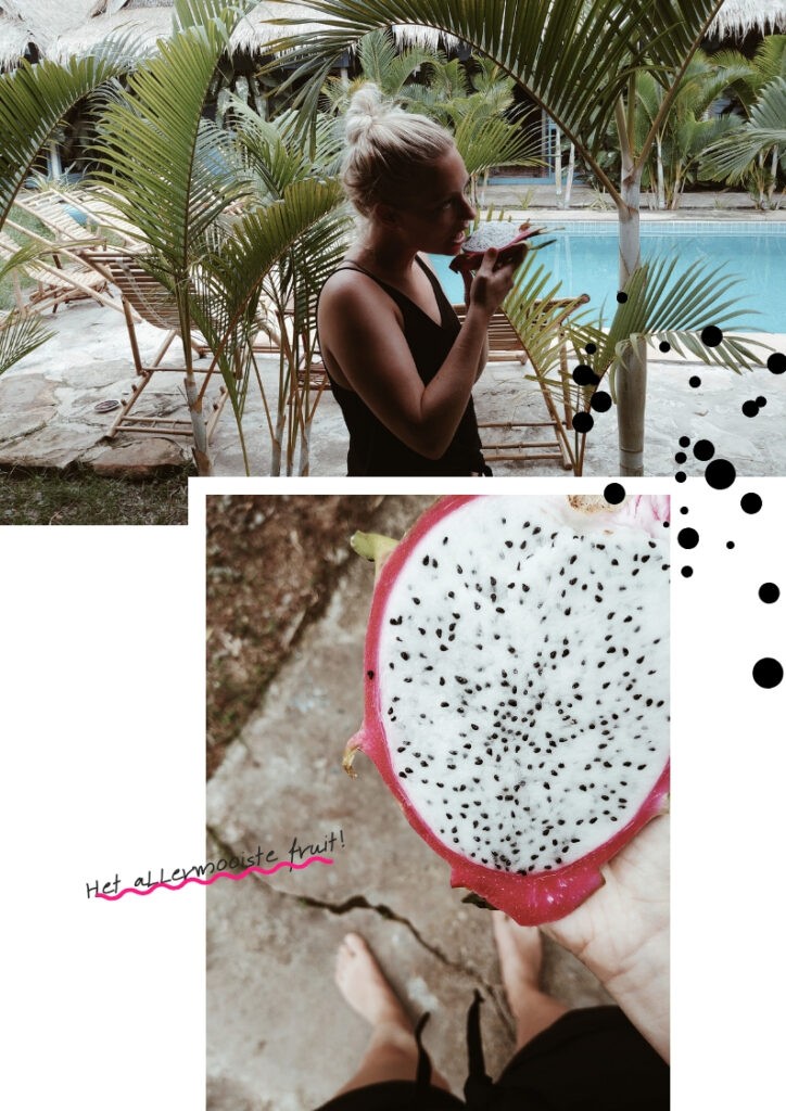 Dragonfruit in Cambodja