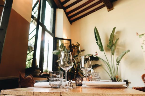 Favoriet in Haarlem: Frenchie Haarlem