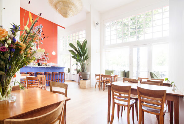 Eten en drinken tussen de kunst: dat kan bij No Man’s Art Gallery in Bos en Lommer