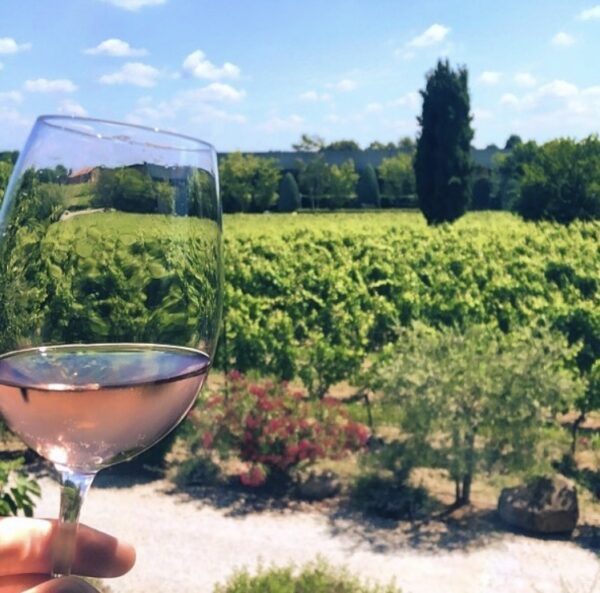 Verbouw je eigen wijn met grapekeeper
