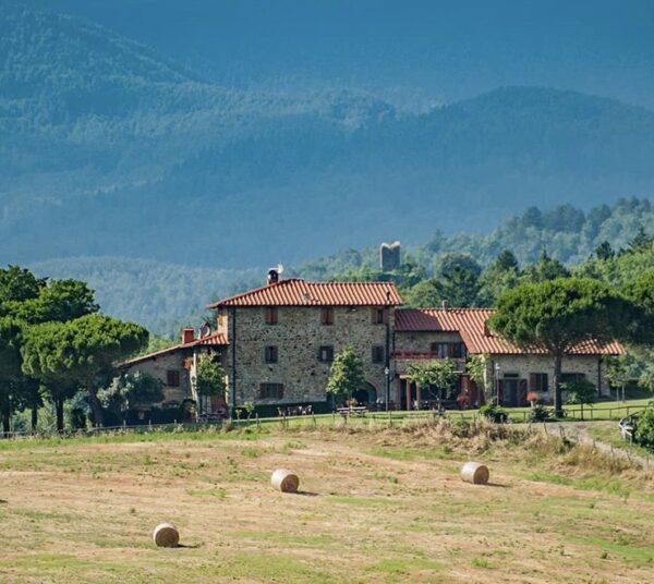 De Toscaanse droom: Novanta Italie